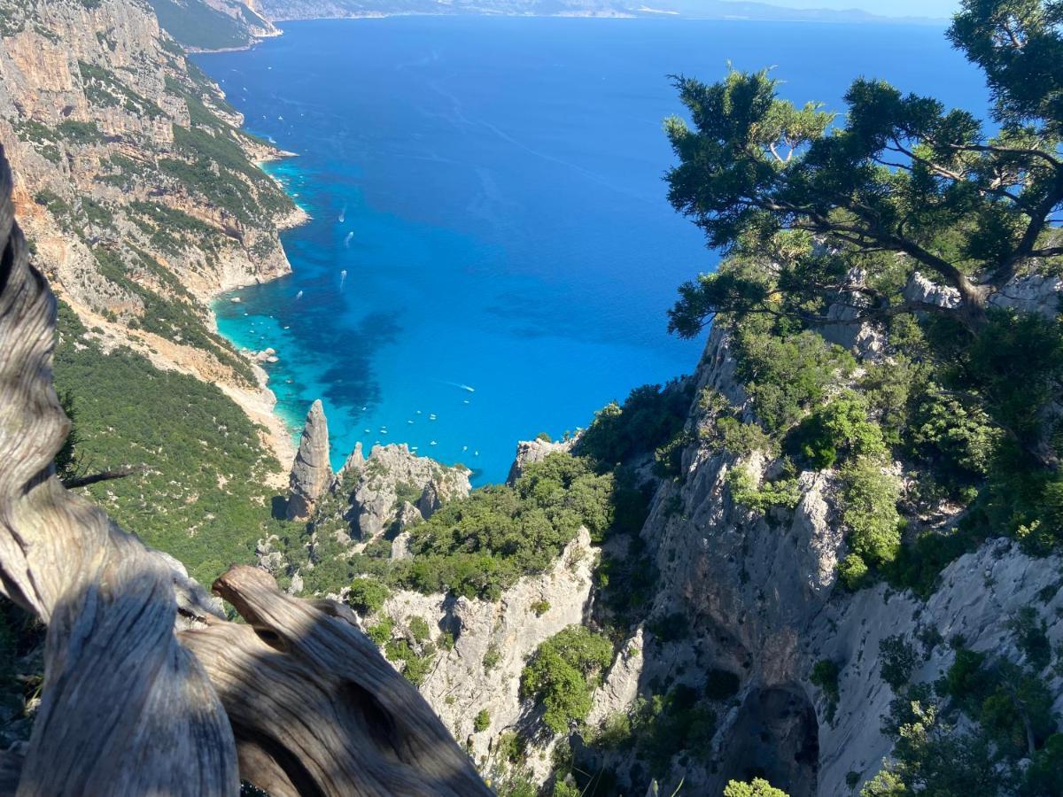 Casa Il Cortile Fiorito Daire Tortolì Dış mekan fotoğraf