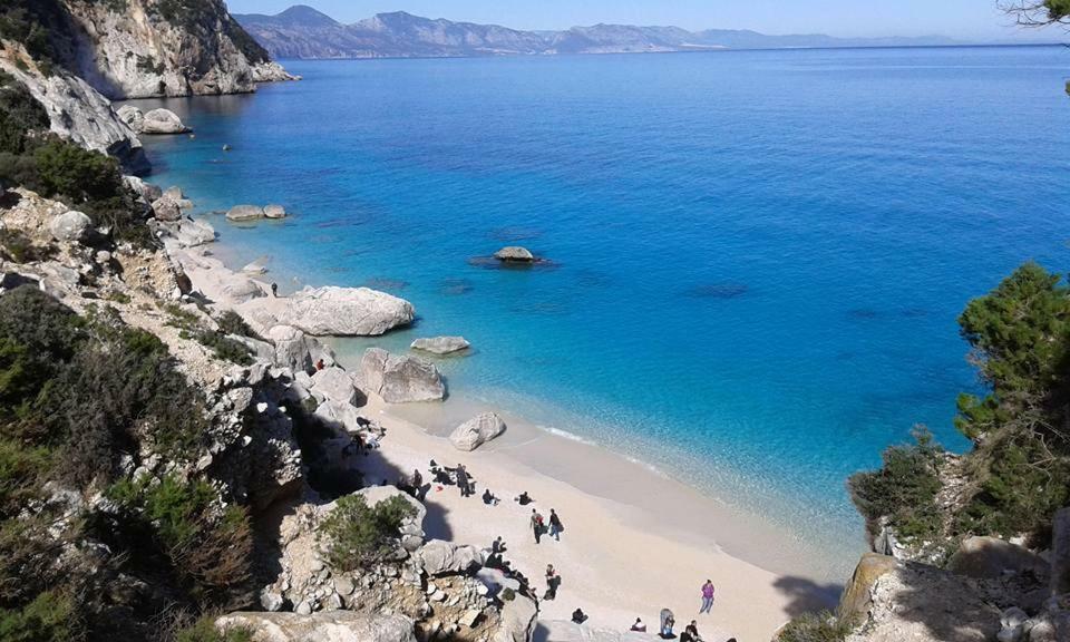 Casa Il Cortile Fiorito Daire Tortolì Dış mekan fotoğraf