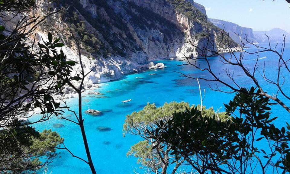 Casa Il Cortile Fiorito Daire Tortolì Dış mekan fotoğraf