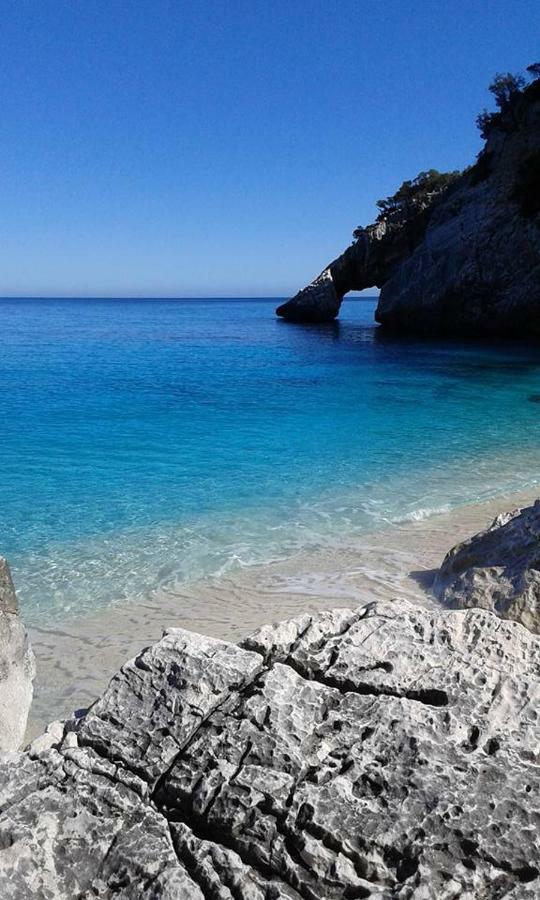 Casa Il Cortile Fiorito Daire Tortolì Dış mekan fotoğraf