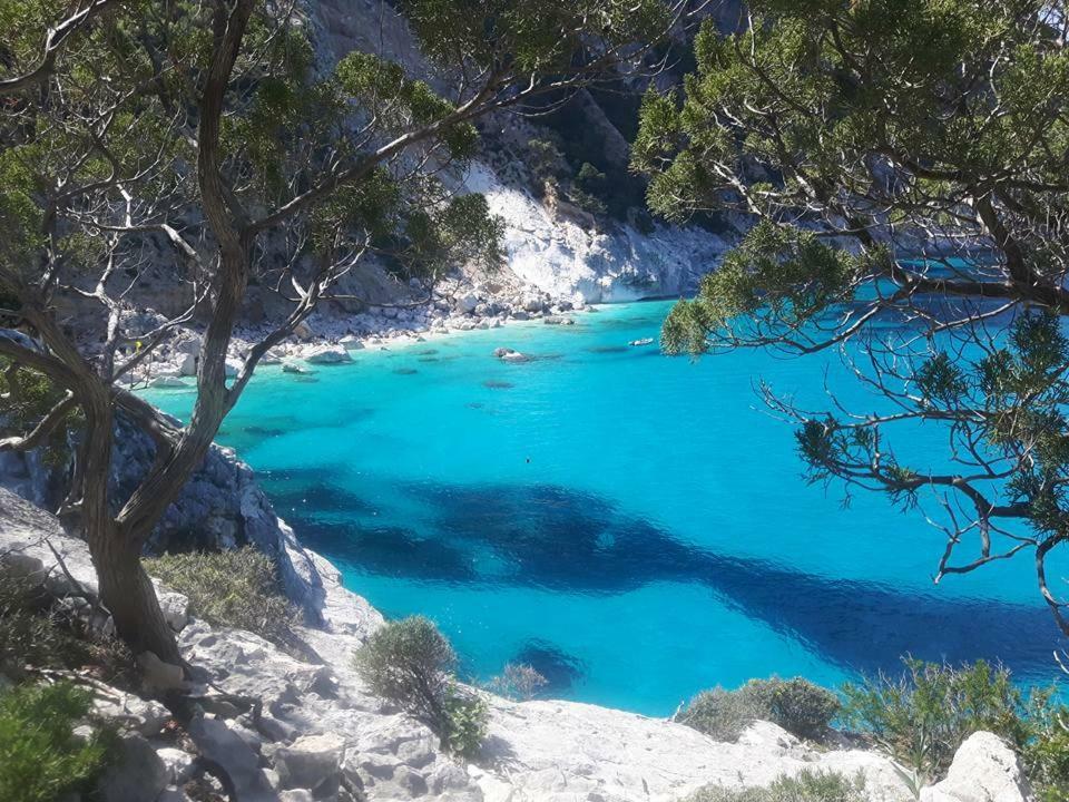 Casa Il Cortile Fiorito Daire Tortolì Dış mekan fotoğraf