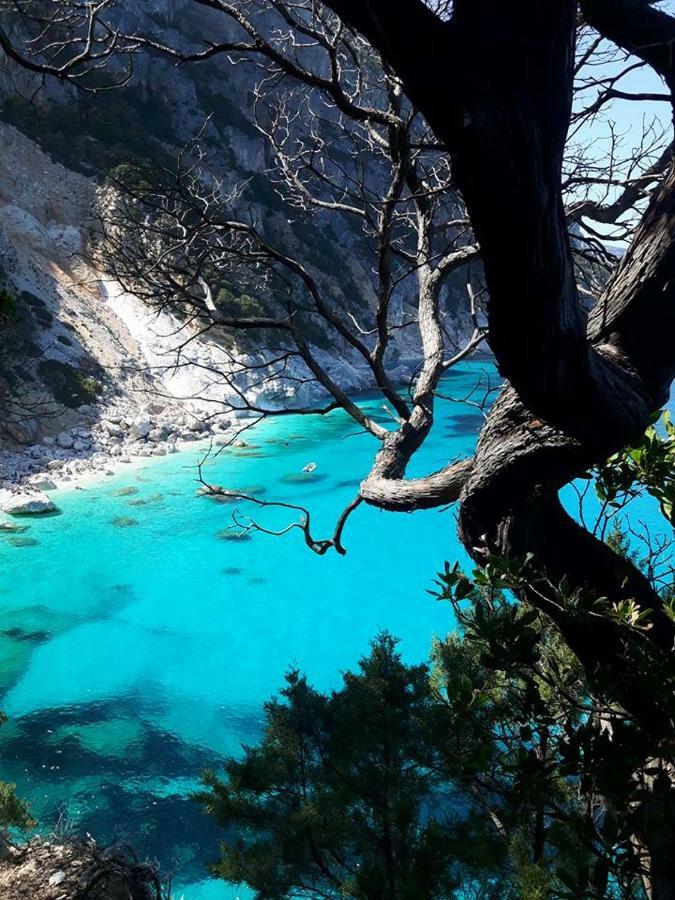 Casa Il Cortile Fiorito Daire Tortolì Dış mekan fotoğraf